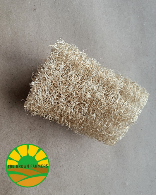 Natural Loofah Sponge