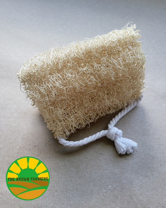 Natural Loofah Sponge with Cotton Cording