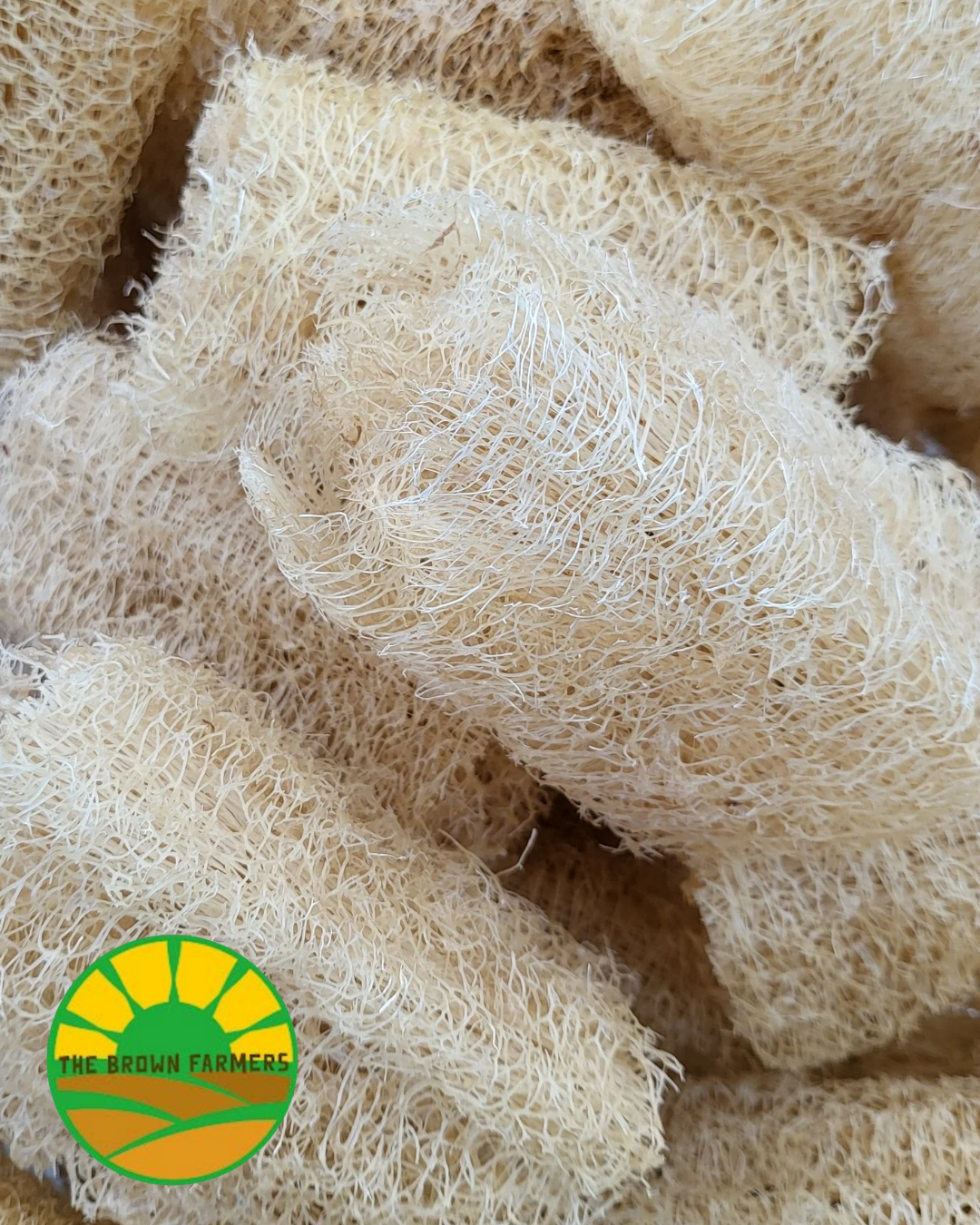 Natural Loofah Sponge