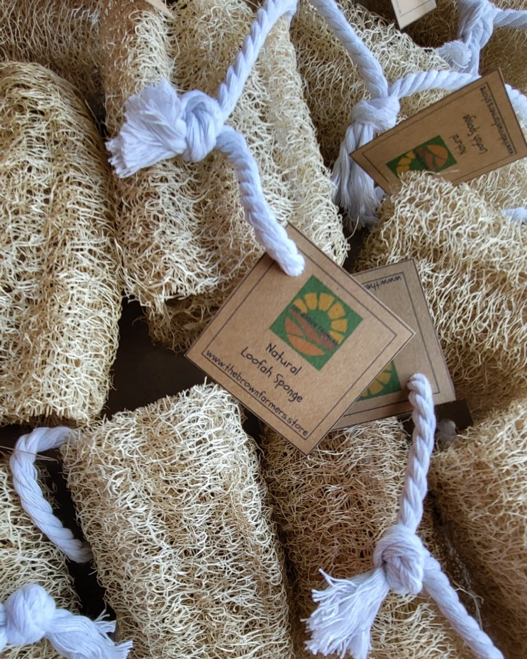 Natural Loofah Sponge with Cotton Cording